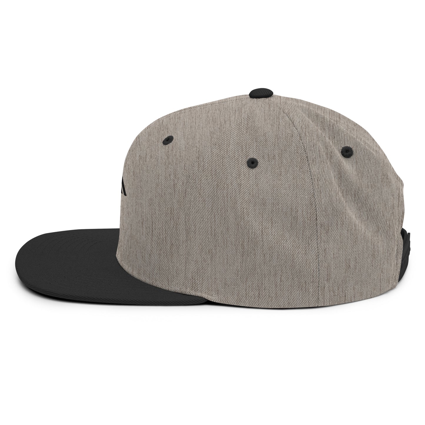 Snapback Hat with 3D Embroidery