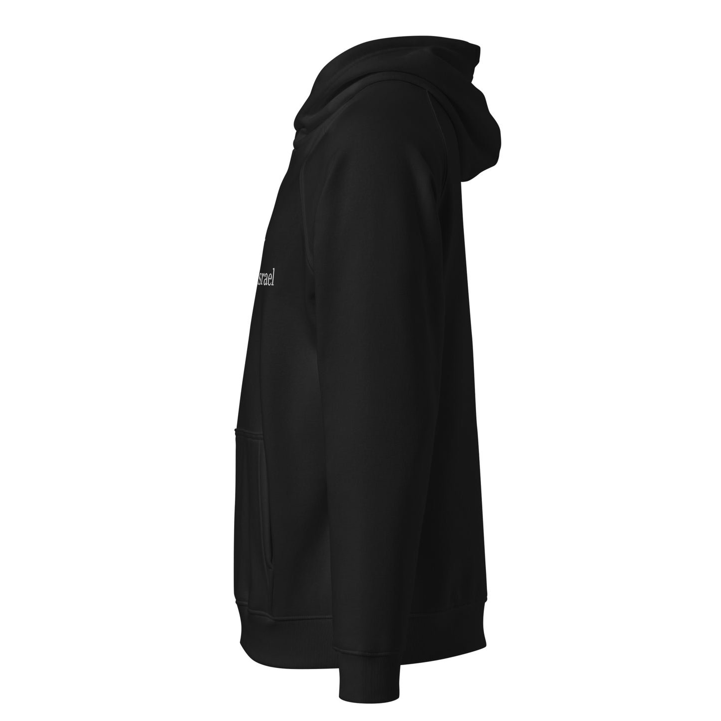 Unisex Organic Cotton Hoodie - Mount Sinai Beth Israel