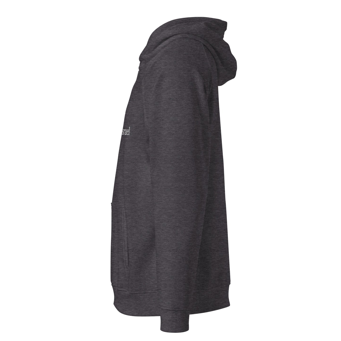 Unisex Organic Cotton Hoodie - Mount Sinai Beth Israel